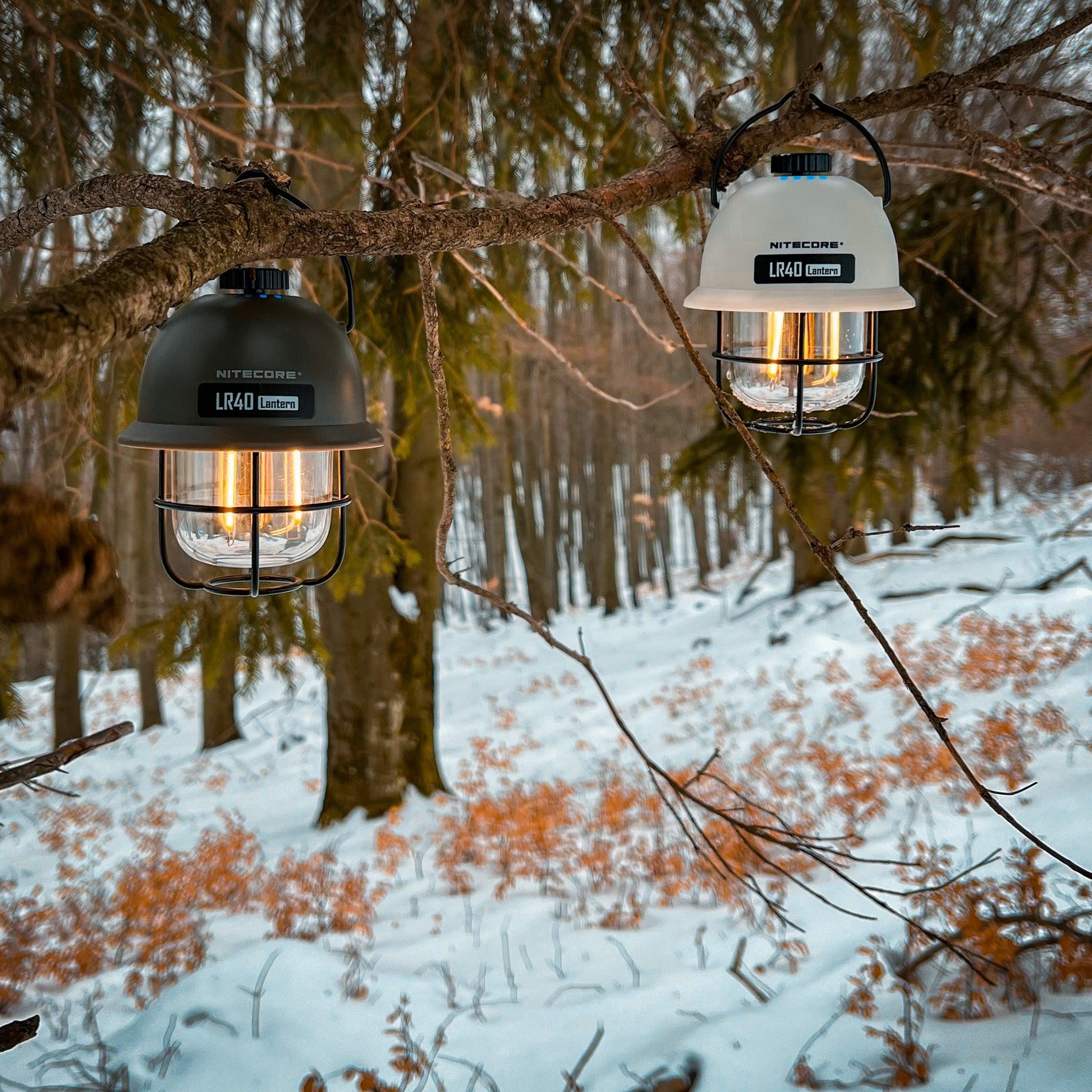 LR40 (White) - 100 lumens - Image 16