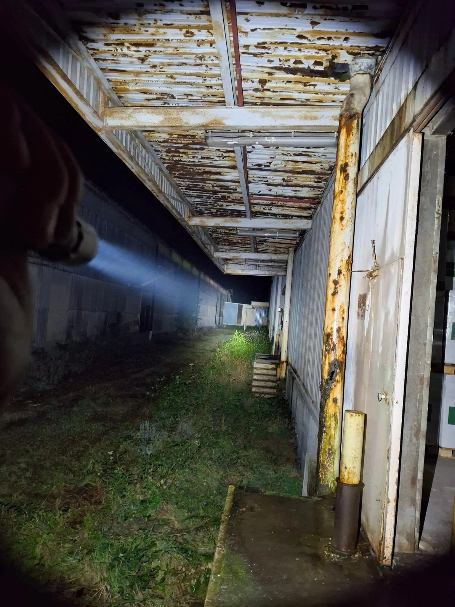MT2C PRO - 1800 lumens - Image 3